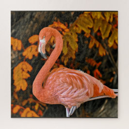 Flamingo, van dichtbij en mooi legpuzzel