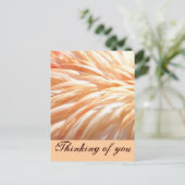 Flamingo veren_ briefkaart (Staand voorkant)