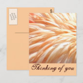 Flamingo veren_ briefkaart (Voorkant / Achterkant)