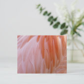 Flamingo-veren in roze tinten (Staand voorkant)