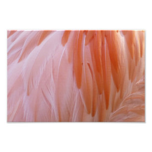 Flamingo-veren in roze tinten foto afdruk