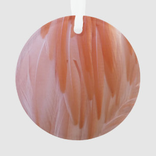 Flamingo-veren in roze tinten ornament