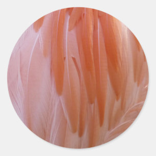 Flamingo-veren in roze tinten ronde sticker