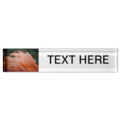 flamingo veren ruffels closeup bird naambordje (Voorkant)