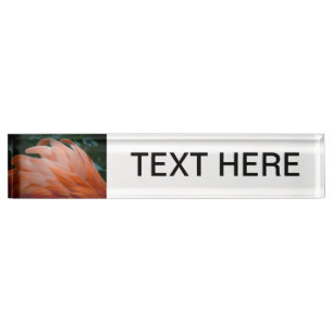 flamingo veren ruffels closeup bird naambordje