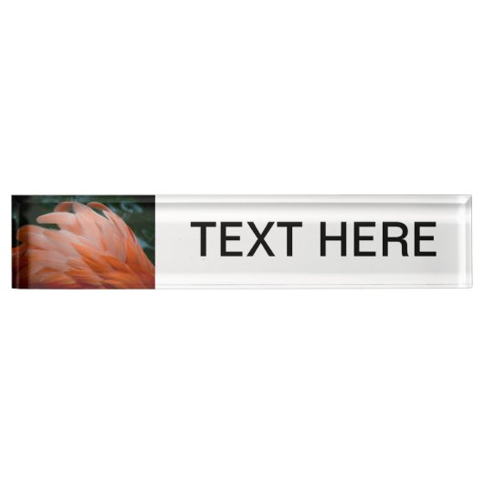 flamingo veren ruffels closeup bird naambordje (Voorkant)