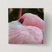 Flamingo Vierkante Button 5,1 Cm (Voorkant)