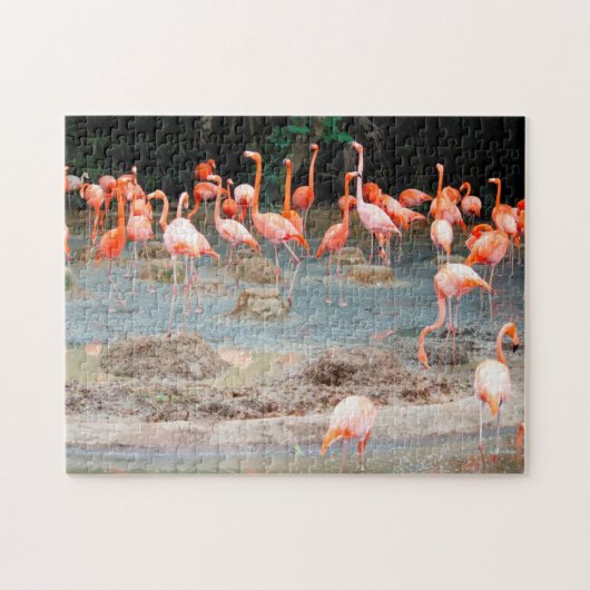 Flamingo Vijver Singapore. Legpuzzel (Horizontaal)