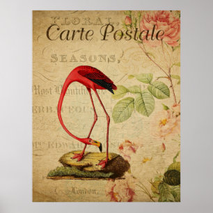 Flamingo Vintage Frans Briefkaart Poster