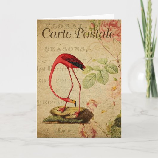 Flamingo Vintage French Postcard Card Kaart (Voorkant)