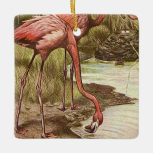 Flamingo Vintage Illustratie Ornament