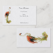 Flamingo  Visitekaartje (Voorkant / Achterkant)