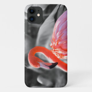 Flamingo Vogelfotografie Case-Mate iPhone Case
