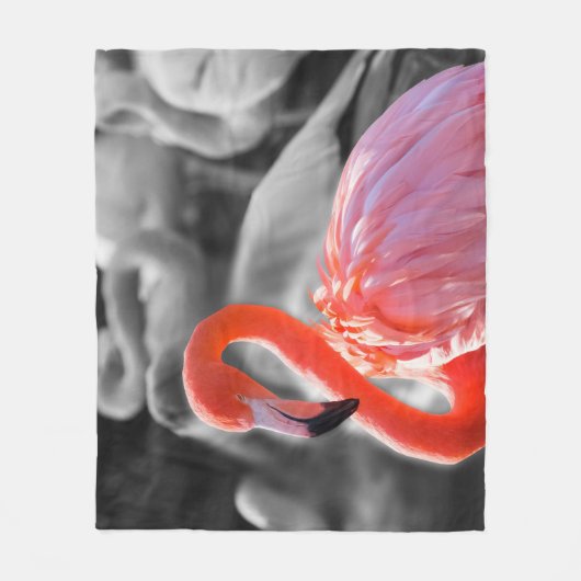 Flamingo Vogelfotografie Fleece Deken (Voorkant)