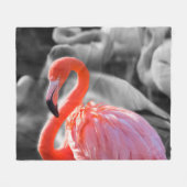 Flamingo Vogelfotografie Fleece Deken (Voorkant (Horizontaal))