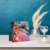 Flamingo Vogelfotografie Fotoplaat (Insitu)