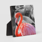 Flamingo Vogelfotografie Fotoplaat (Voorkant)