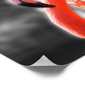 Flamingo Vogelfotografie Poster (Hoek)