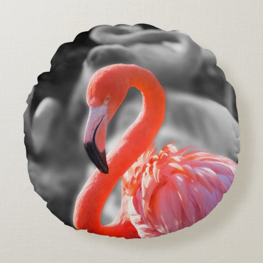 Flamingo Vogelfotografie Rond Kussen (Voorkant)