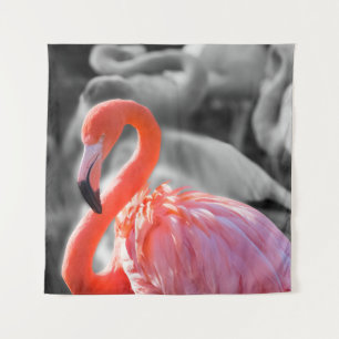 Flamingo Vogelfotografie Wandkleed