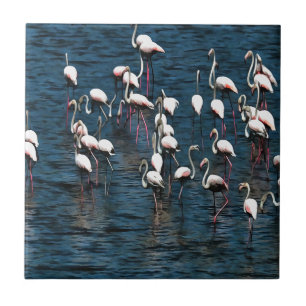 Flamingo vogels in roze en wit op inkwell blauw tegeltje