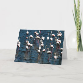 Flamingo vogels in roze en wit op inkwell Blue Kaart