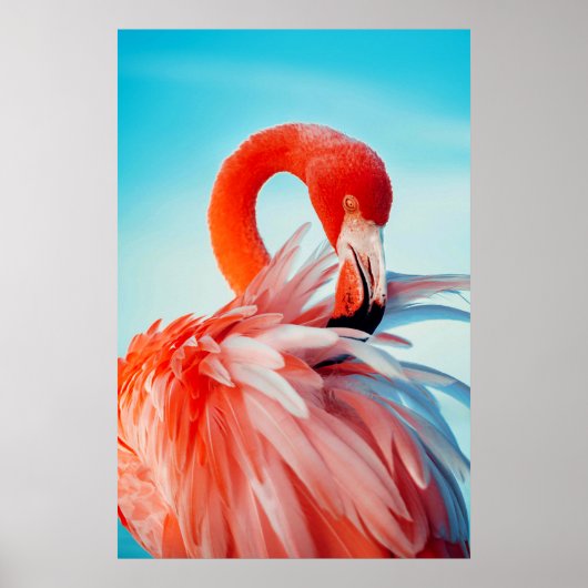 Flamingo wall art poster (Voorkant)