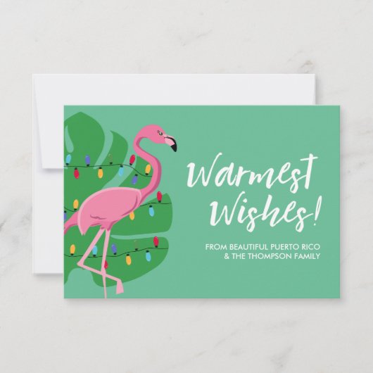 Flamingo Warmste Wensen Vakantie Familie Kaart (Voorkant)