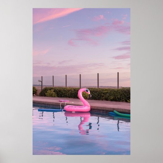 Flamingo-waterboer in zwembad poster (Voorkant)