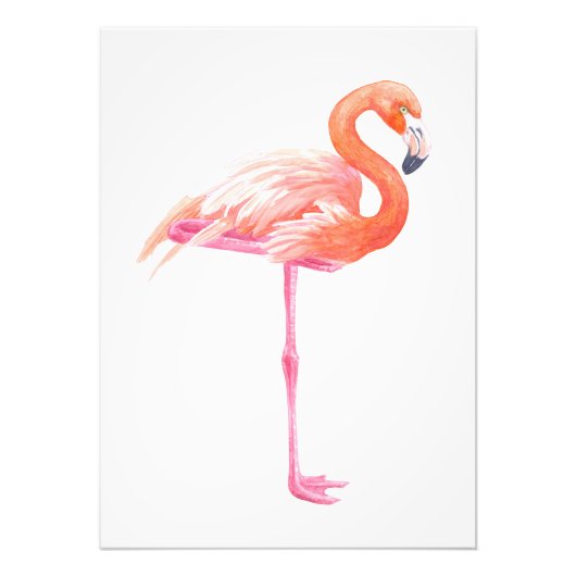 Flamingo-waterverf Foto Afdruk (Voorkant)