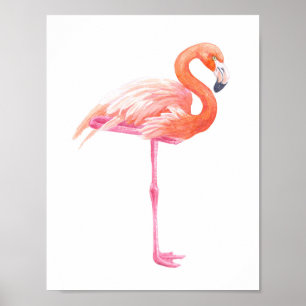 Flamingo-waterverf Poster