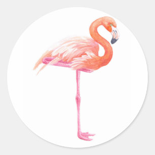 Flamingo-waterverf Ronde Sticker