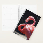 Flamingo Weekly/Maandelijkse Planner (Display)