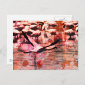 Flamingo Wisdom Briefkaart (Voorkant / Achterkant)