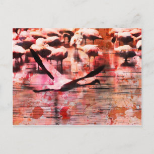 Flamingo Wisdom Briefkaart