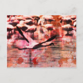 Flamingo Wisdom Briefkaart (Voorkant)