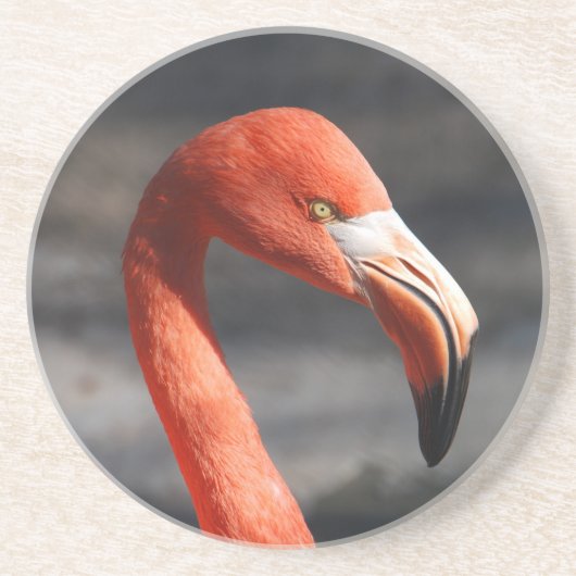 Flamingo Zandsteen Onderzetter (Voorkant)