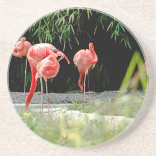 flamingo zandsteen onderzetter