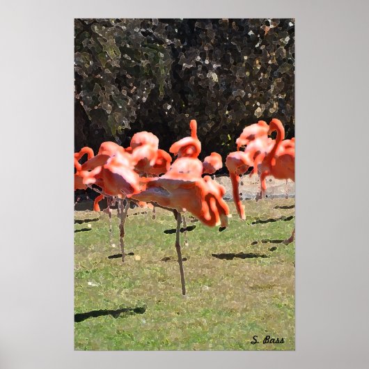 Flamingoens Print (Voorkant)