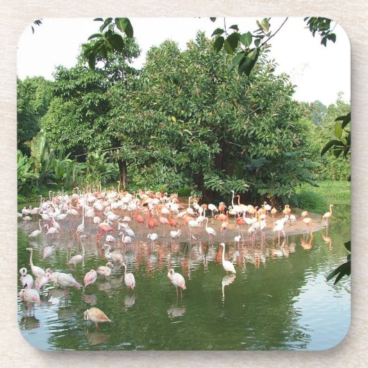 flamingokudde bier onderzetter (Voorkant)