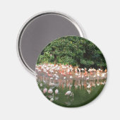 flamingokudde magneet (Voorkant / Achterkant)