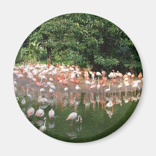 flamingokudde magneet (Voorkant)