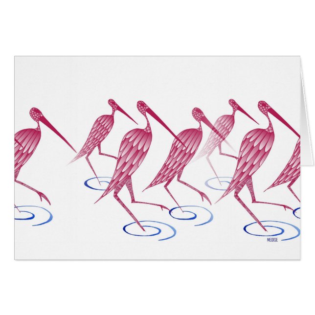 Flamingos (Voorkant Horizontaal)