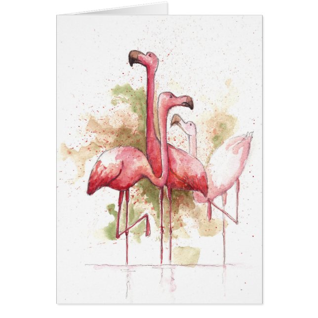 Flamingos (Voorkant)
