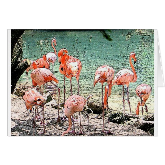 Flamingos (Voorkant Horizontaal)