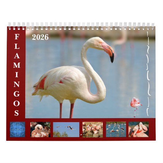 Flamingos 12-maandkalender kalender (Hoes)