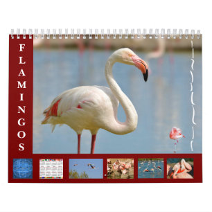 Flamingos 12-maandkalender kalender