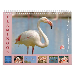 Flamingos 12-maandkalender kalender