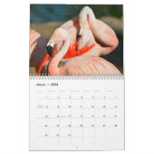 Flamingos 12 month calendar kalender (Mar 2026)