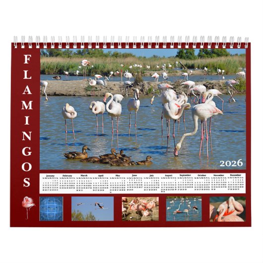 Flamingos 12 month calendar kalender (Hoes)